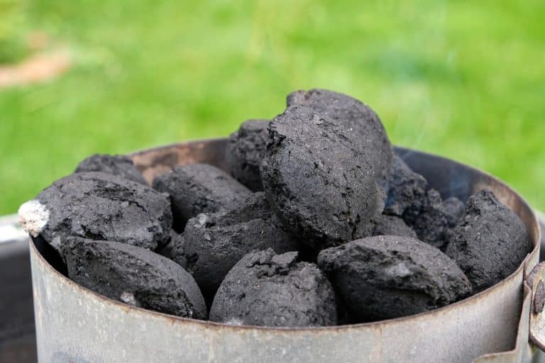 types of charcoal