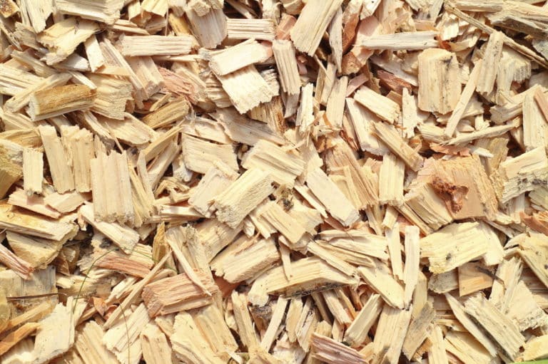 cherry wood chips