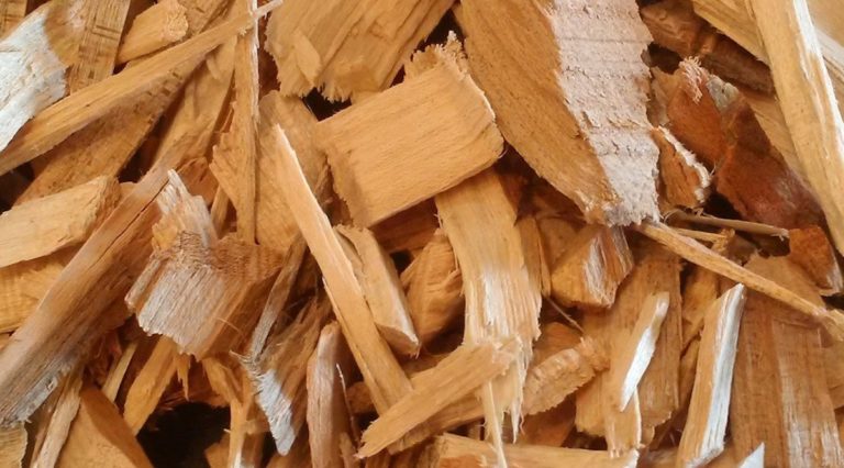 maple wood chips